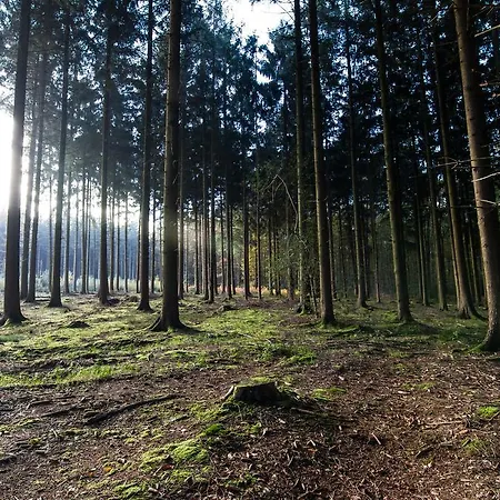 بيت ريفي Cuba Libre 3*