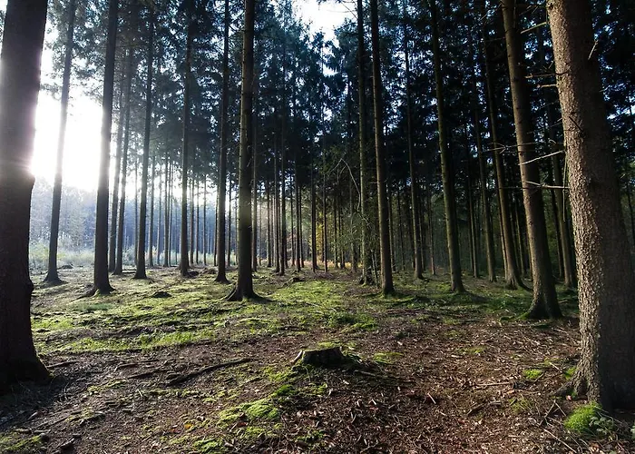 Мини-отель Cuba Libre 3*